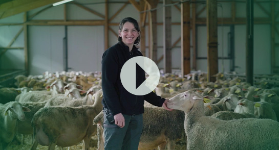 Christelle, éleveuse de brebis Société